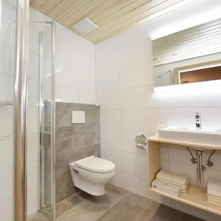 Valluela Montafon 公寓 圣加伦基希